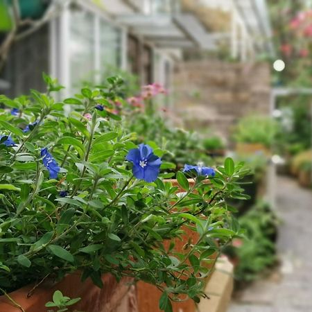 Shenzhen No'6 Garden Villa --French Window With Garden View,Close To Sea World &Shekou Ferry Port &K11 Ecoast &Subway Nearby ,Offer Western Food And Coffee &English Speaking With Tour Services Екстериор снимка