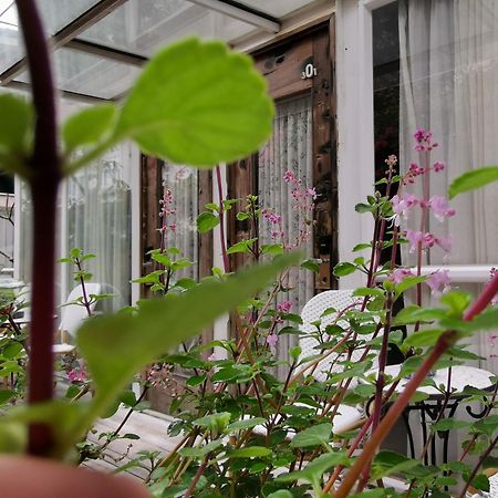 Shenzhen No'6 Garden Villa --French Window With Garden View,Close To Sea World &Shekou Ferry Port &K11 Ecoast &Subway Nearby ,Offer Western Food And Coffee &English Speaking With Tour Services Екстериор снимка