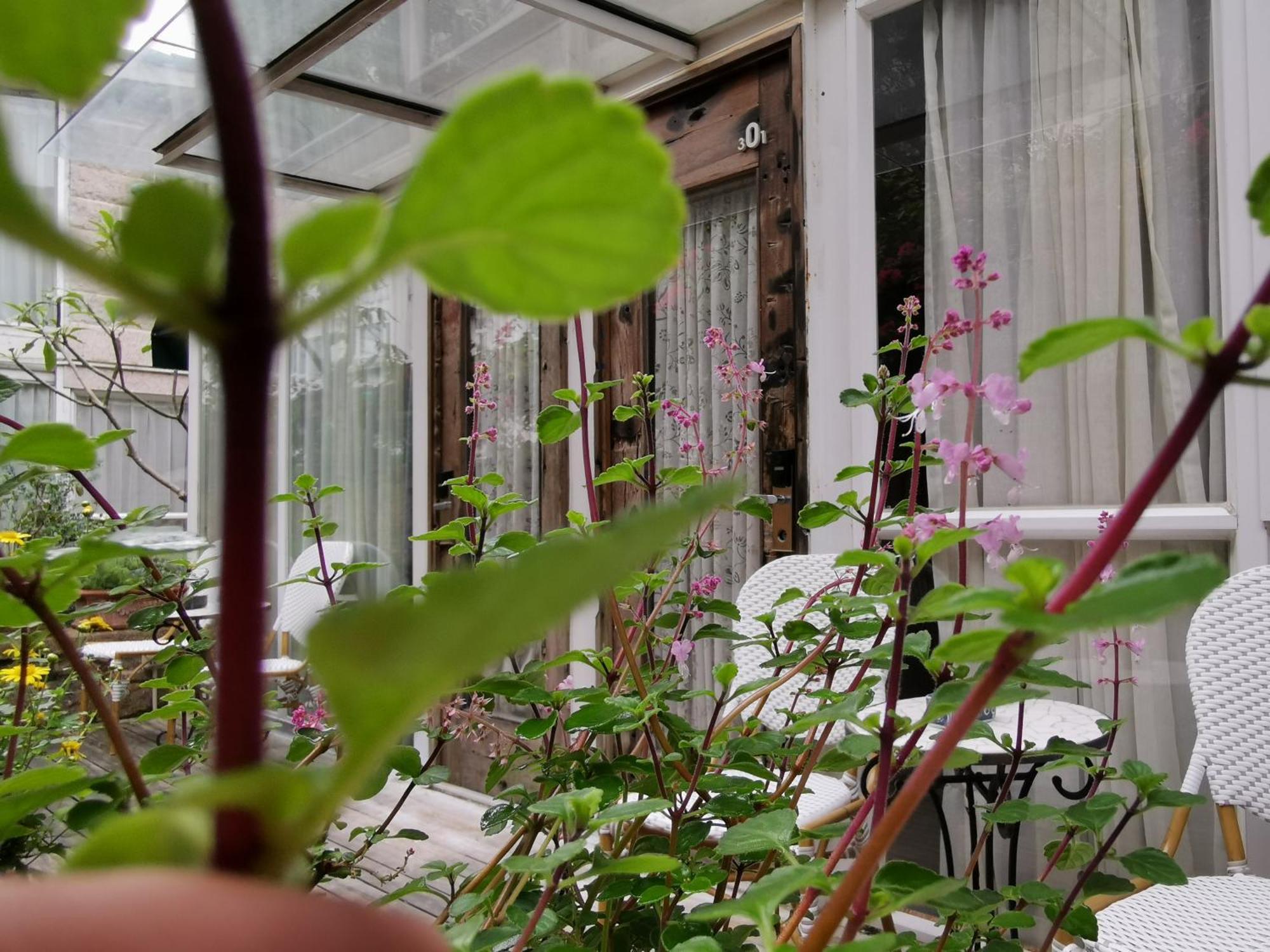 Shenzhen No'6 Garden Villa --French Window With Garden View,Close To Sea World &Shekou Ferry Port &K11 Ecoast &Subway Nearby ,Offer Western Food And Coffee &English Speaking With Tour Services Екстериор снимка